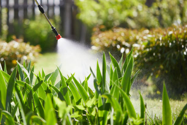 24/7 Emergency Mosquito Control experts in Clancy, MT